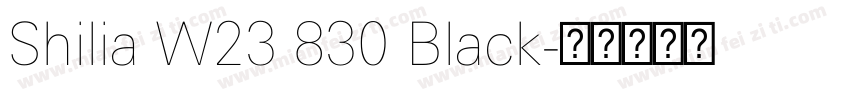 Shilia W23 830 Black字体转换
